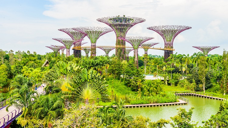شهر سبز سنگاپور