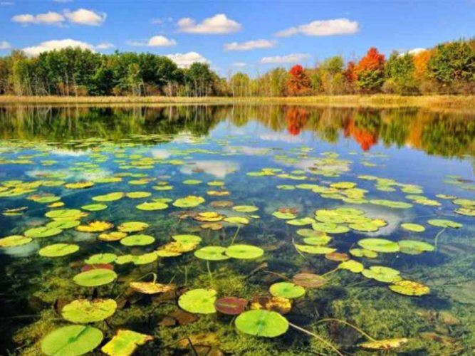 تالاب های ایران