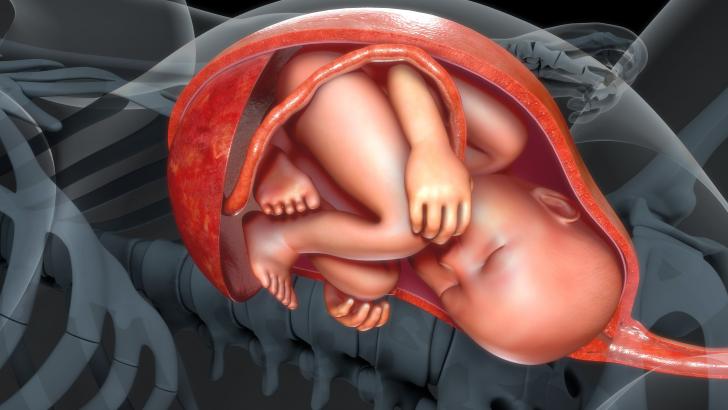 بارداری هفته به هفته و سیر تکامل جنین – همه چیز در مورد 42 هفته بارداری