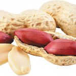طبع بادام زمینی