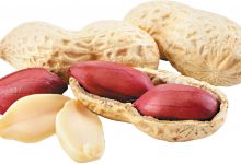 طبع بادام زمینی