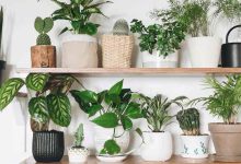 خرید گلدون اینترنتی