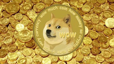 ارز دیجیتال دوج کوین