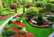 چرا باغبانی مهم است