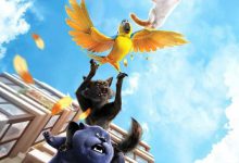 گربه ها در هلواباد