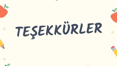 زبان ترکی استانبولی