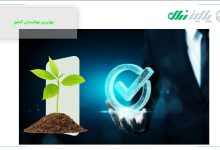 نهالستان رکورد دار تولید نهال در کشور است